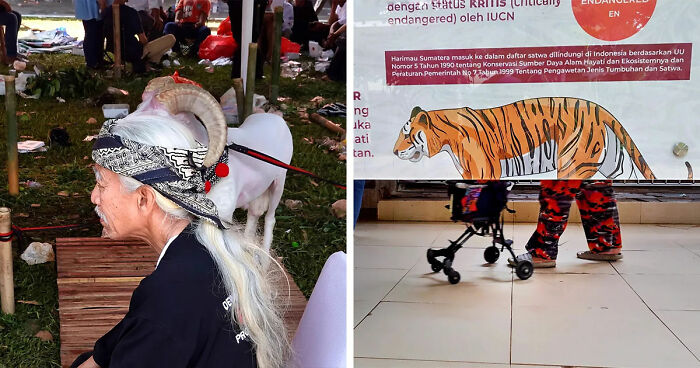 40 Street Photos Capturing Coincidences So Weird, You Might Have To Look Twice