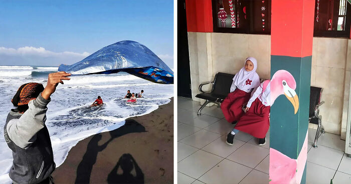 Photographer Captured 40 Perfectly Timed Shots Where Everyday Life Gets Weird