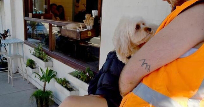 This Photographer Captures Perfectly Timed Street Coincidences In 50 Photos