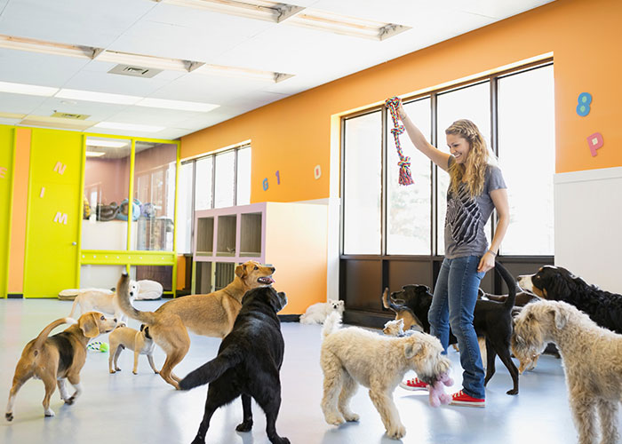 “Cancelled His Passport”: 50 Hilarious, Petty And Ridiculous Things People Did After A Breakup