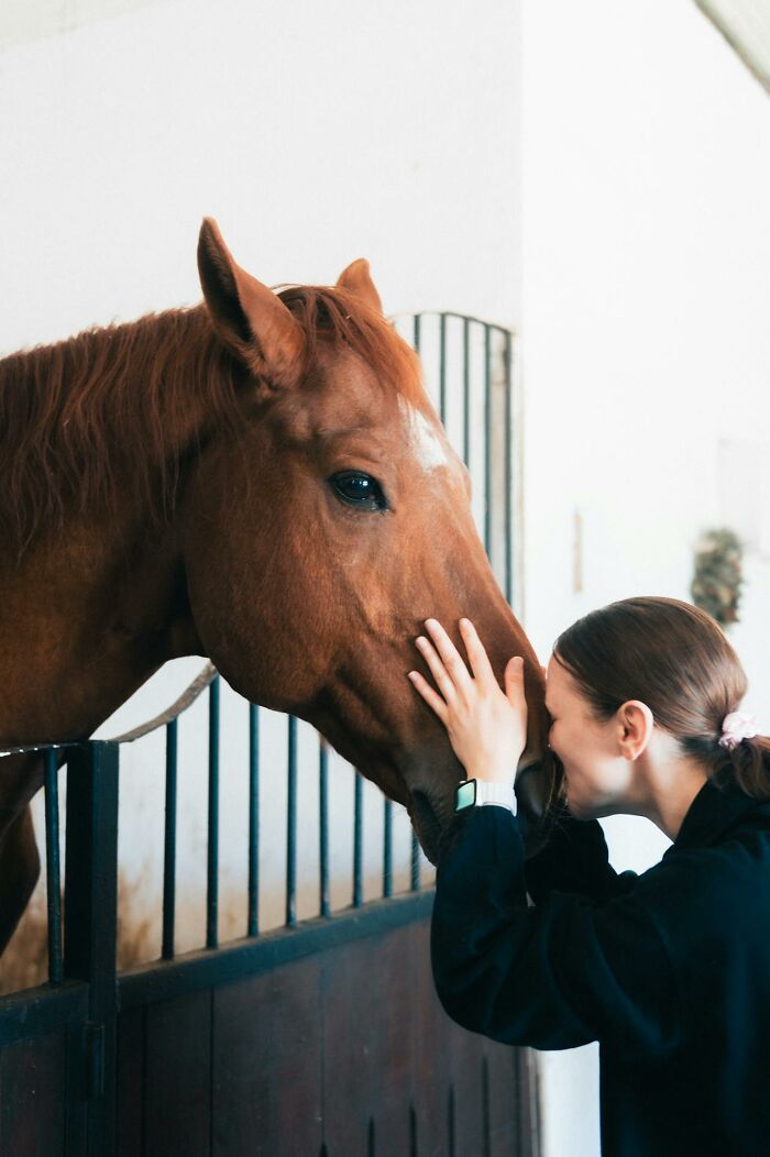 Woman gently touching a horse's face inside stable, illustrating how rich people show how far from reality they are.