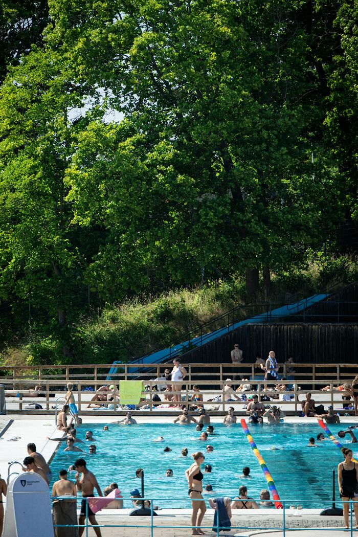 People enjoying a sunny day at an outdoor pool surrounded by trees, representing unexplainable medical events and miracles.