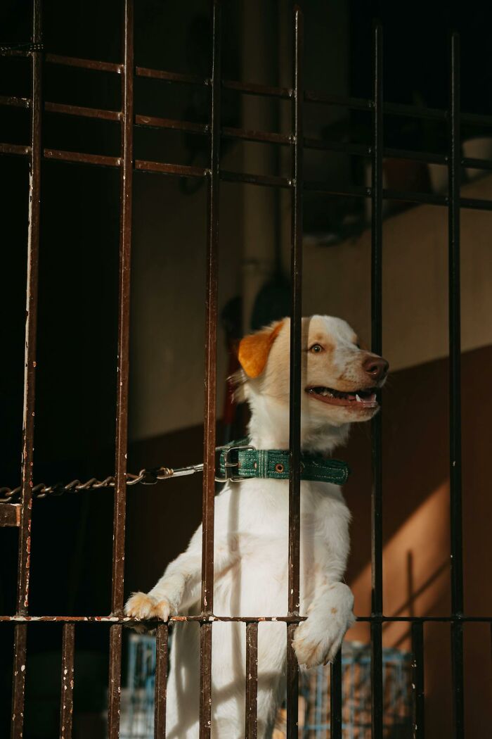 Night Shift Workers Share The Weirdest Things They’ve Encountered, Here Are The 69 Best Stories