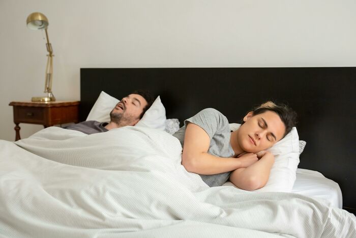 "Women Are Cats In Disguise": 69 Men Share What They Learned About Women After Living With One