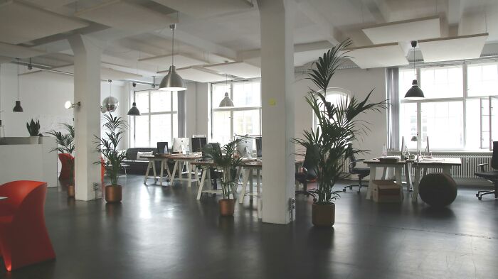 Modern open office space with plants and workstations illustrating rich people saying extremely out of pocket things.