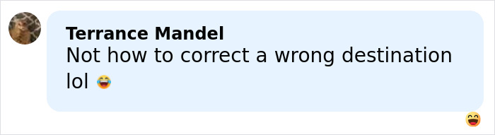 Comment by Terrance Mandel saying not how to correct a wrong destination lol with laughing emojis, referencing disturbing arrest details.