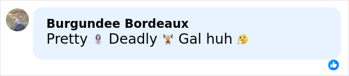 Comment reading "Pretty Deadly Gal huh" on a social media post about a jealous girlfriend accused of throwing a gym weight.