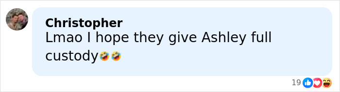 Comment from Christopher reacting humorously about custody related to Elon Musk&rsquo;s announcement on his 13th child with a conservative influencer.