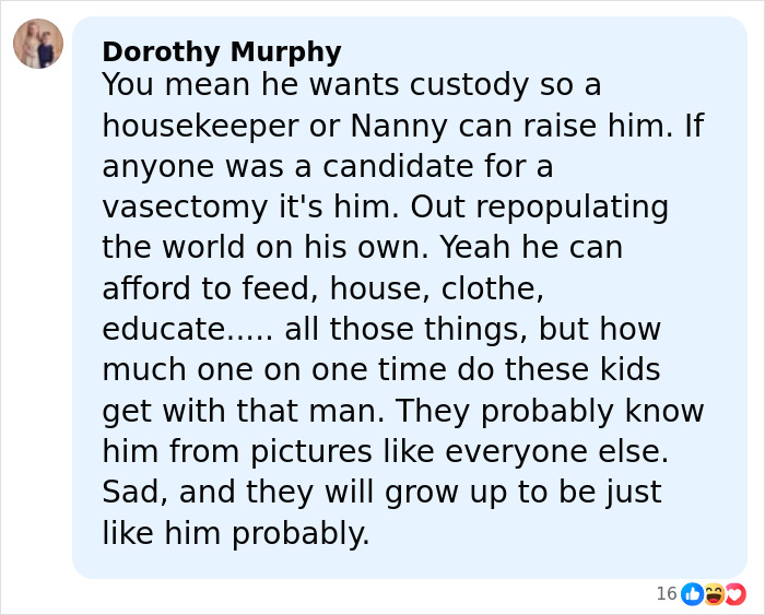 Comment discussing Elon Musk's announcement about his 13th child with conservative influencer and related custody concerns.