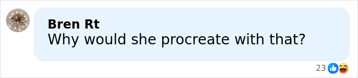 Comment reading why someone would procreate with Elon Musk amid announcement about 13th child with conservative influencer.