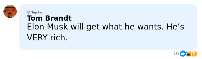 Comment by user Tom Brandt expressing opinion on Elon Musk's wealth in a social media thread about his 13th child with conservative influencer.