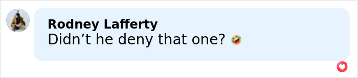 Comment from Rodney Lafferty reacting with humor to Elon Musk&rsquo;s dramatic announcement about 13th child with conservative influencer.