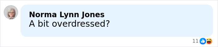 Comment on social media questioning if Taylor Swift's wedding outfit was trying to upstage the bride.