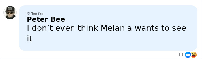 Comment from a top fan Peter Bee expressing doubt about Melania Trump's interest in the new documentary.