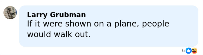 Comment by Larry Grubman criticizing Melania Trump's new documentary as people would walk out if shown on a plane.