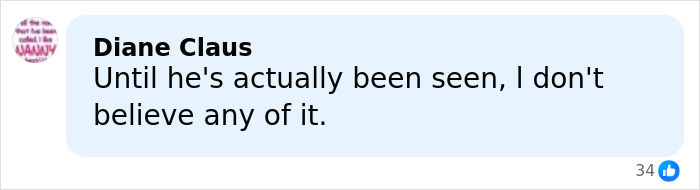 Comment by Diane Claus expressing skepticism about major Michael Schumacher health update shared online.