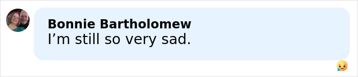 Rob Reiner wife Michele email screenshot of comment by Bonnie Bartholomew Im still so very sad with crying emoji Rob Reiner wife Michele email screenshot of comment by Bonnie Bartholomew Im still so very sad with crying emoji