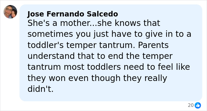 Comment by Jose Fernando Salcedo explaining toddler tantrums and parental understanding in a social media post.