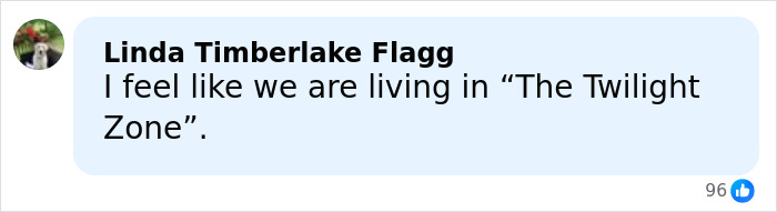 Comment by Linda Timberlake Flagg expressing feeling like living in the Twilight Zone after Nobel Committee and Peace Prize news.