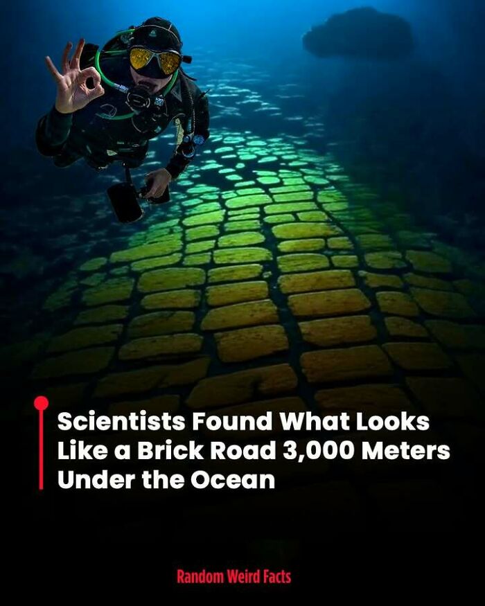 Diver discovers a submerged brick road 3,000 meters underwater, one of the interesting facts that linger in your head.