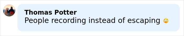 Comment by Thomas Potter criticizing people recording instead of escaping during lethal Swiss ski bar fire caused by negligence.