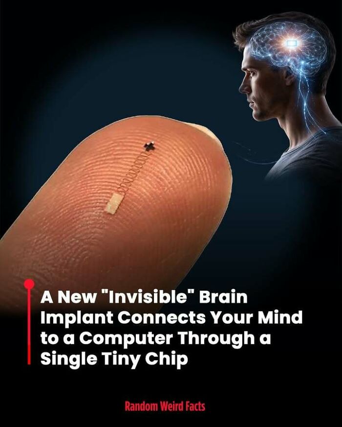 Tiny brain implant chip on a fingertip connecting the human mind to a computer concept for facts that linger.