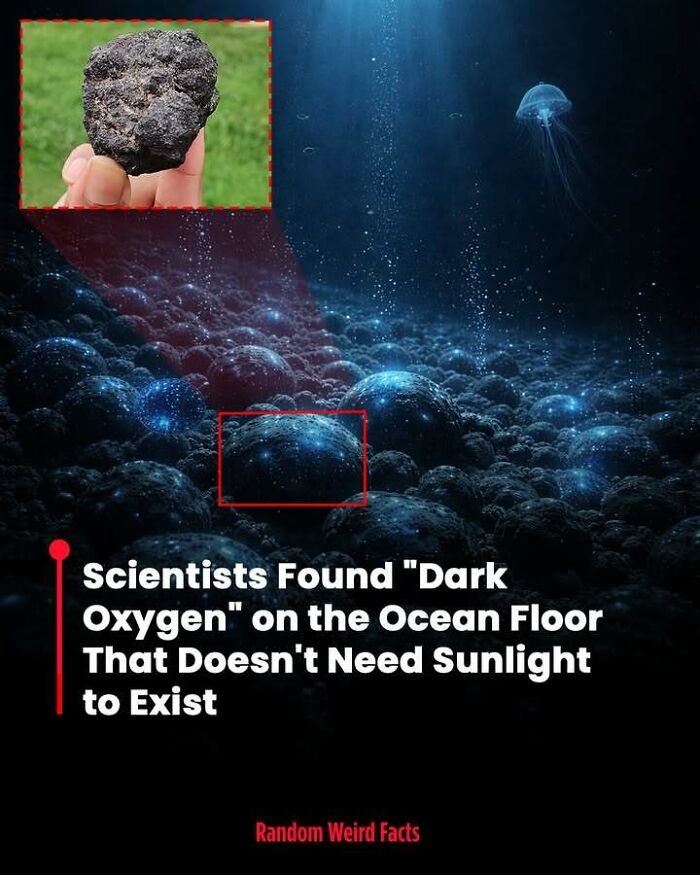 Scientists discovered dark oxygen on the ocean floor, a fact that lingers in your head for days with its mystery.