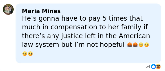 Facebook comment by Maria Mines on outrage as ICE agent who attacked Renee Good turns millionaire via online fundraisers.