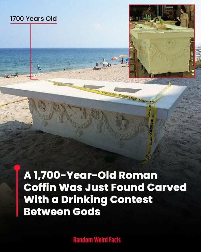 Roman coffin carved with a drinking contest between gods, an intriguing fact that lingers in your head for days.