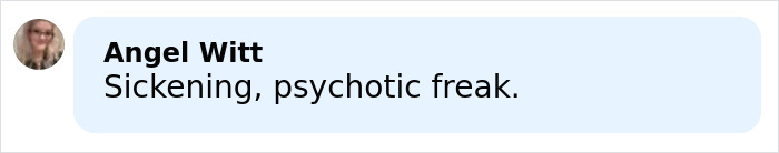 Comment by Angel Witt calling someone a sickening psychotic freak in a light blue speech bubble on a white background.