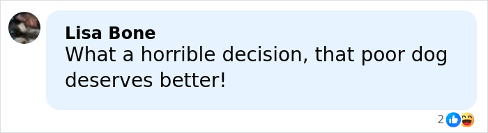 Comment expressing outrage over Jennifer Lawrence rehoming her pet after 9 years, calling the decision horrible. Comment expressing outrage over Jennifer Lawrence rehoming her pet after 9 years, calling the decision horrible.