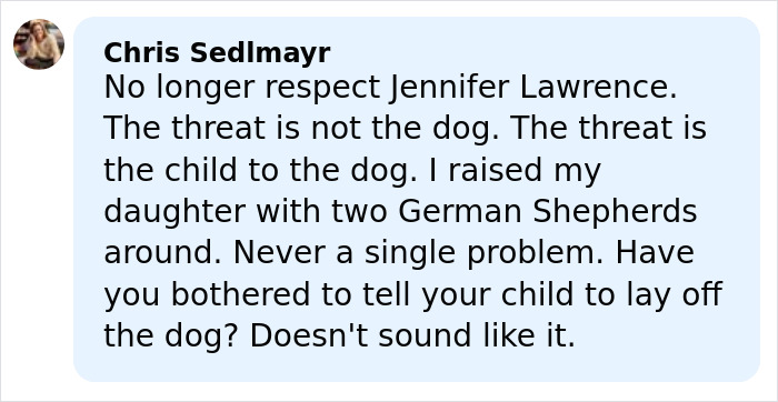 Comment criticizing Jennifer Lawrence for rehoming her pet, discussing concerns about dogs and children safety. Comment criticizing Jennifer Lawrence for rehoming her pet, discussing concerns about dogs and children safety.