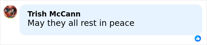 Facebook comment by Trish McCann saying May they all rest in peace, related to famous singer plane crash news. Facebook comment by Trish McCann saying May they all rest in peace, related to famous singer plane crash news.