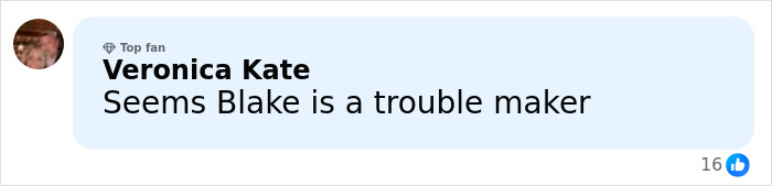 Comment by Veronica Kate calling Blake a trouble maker with 16 reactions on a social media post about Justin Baldoni case. Comment by Veronica Kate calling Blake a trouble maker with 16 reactions on a social media post about Justin Baldoni case.
