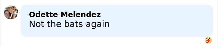 Comment by Odette Melendez expressing concern about bats related to incurable virus outbreak causing airport restrictions.