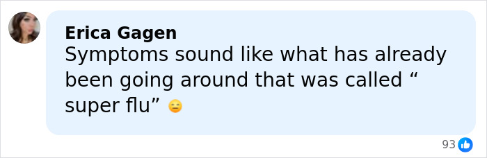 Comment by Erica Gagen discussing symptoms resembling a virus outbreak causing COVID-style restrictions at airports.
