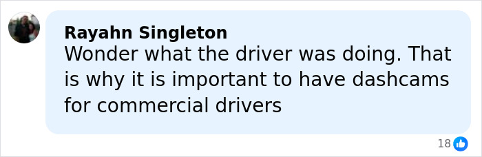 Comment by Rayahn Singleton discussing the importance of dashcams for commercial drivers after violent crime arrest.