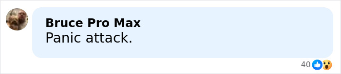 Facebook comment reading Panic attack by user Bruce Pro Max with 40 likes and shocked reaction emoji visible.