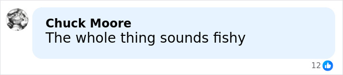 Comment saying the whole thing sounds fishy, highlighting skepticism about Barron Trump’s late-night emergency call.