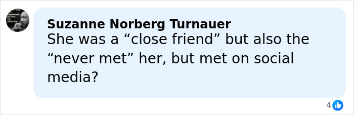 User comment by Suzanne Norberg Turnauer questioning if close friend met only on social media, referencing sounds fishy case.
