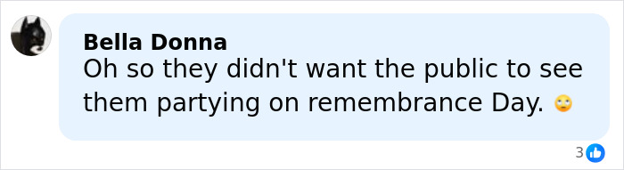 Comment criticizing Prince Harry and Meghan Markle for partying on Remembrance Day, reflecting backlash after photo controversy.