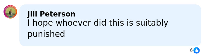 Facebook comment by Jill Peterson expressing hope that the person responsible is suitably punished regarding fighter jets escort incident.