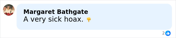 Facebook comment saying a very sick hoax with a thumbs down emoji, discussing people are idiots fighter jets scrambled.