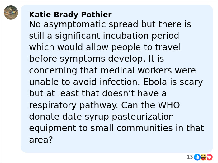 Comment discussing virus incubation, infection risks to medical workers, and concerns about incurable virus outbreak causing airport restrictions.