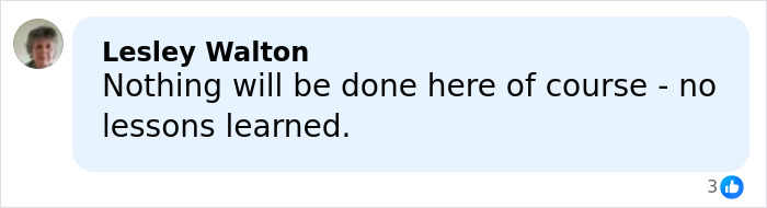 Comment by Lesley Walton expressing frustration over no lessons learned amid virus outbreak causing COVID-style airport restrictions.
