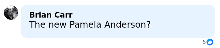 Comment on social media post reading The new Pamela Anderson by Brian Carr, related to Sydney Sweeney racy lingerie line news.