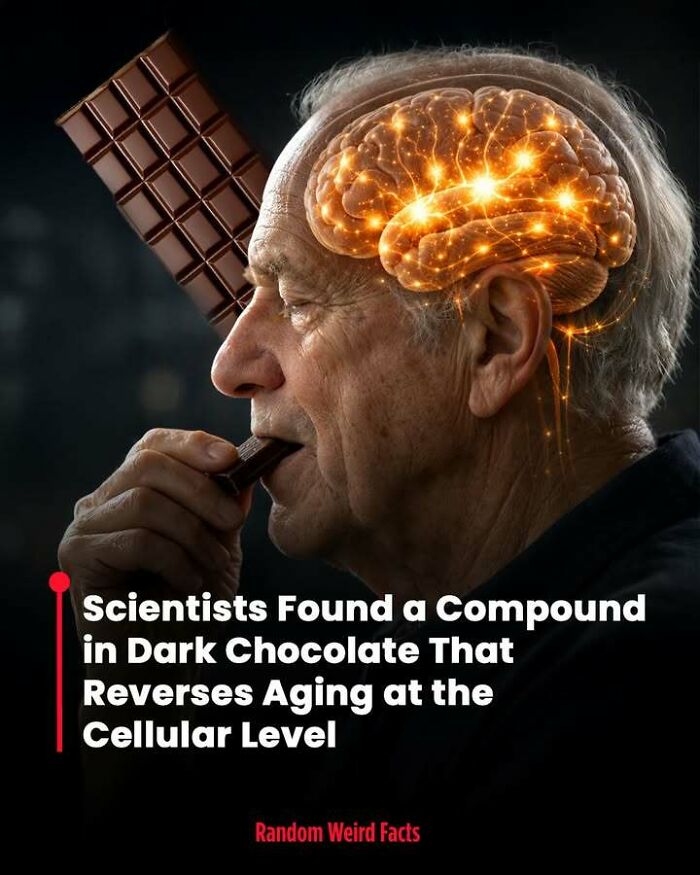 Elderly man eating dark chocolate with glowing brain illustration highlighting facts that linger in your head for days.
