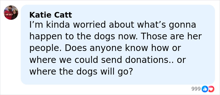 Text message expressing concern about the girl abandoned in mobile home and asking about help for the dogs.