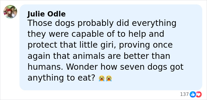 Facebook comment by Julie Odle expressing sorrow over a girl abandoned in mobile home for a year situation.