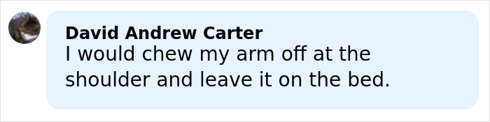 Comment from David Andrew Carter saying he would chew his arm off at the shoulder and leave it on the bed.